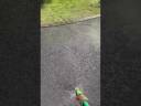 Laying Tarmac down